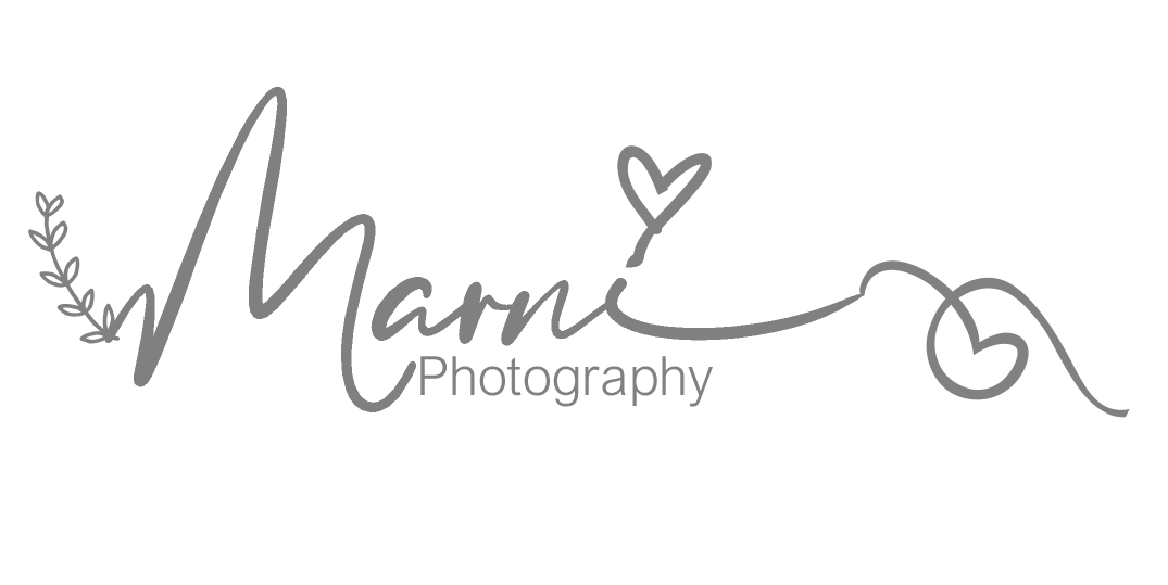 light logo