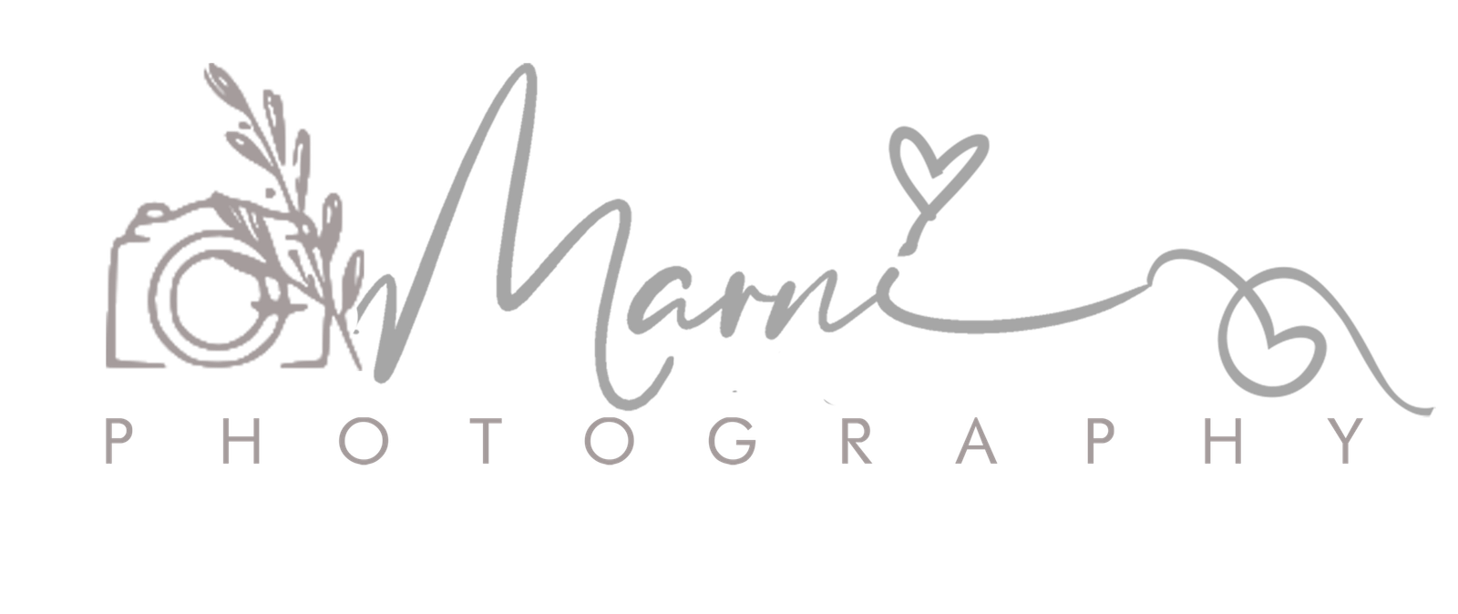light logo